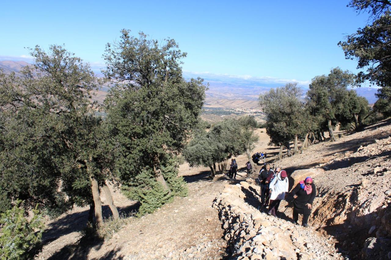 Gite Skoura Caid Bou Malla Exterior photo