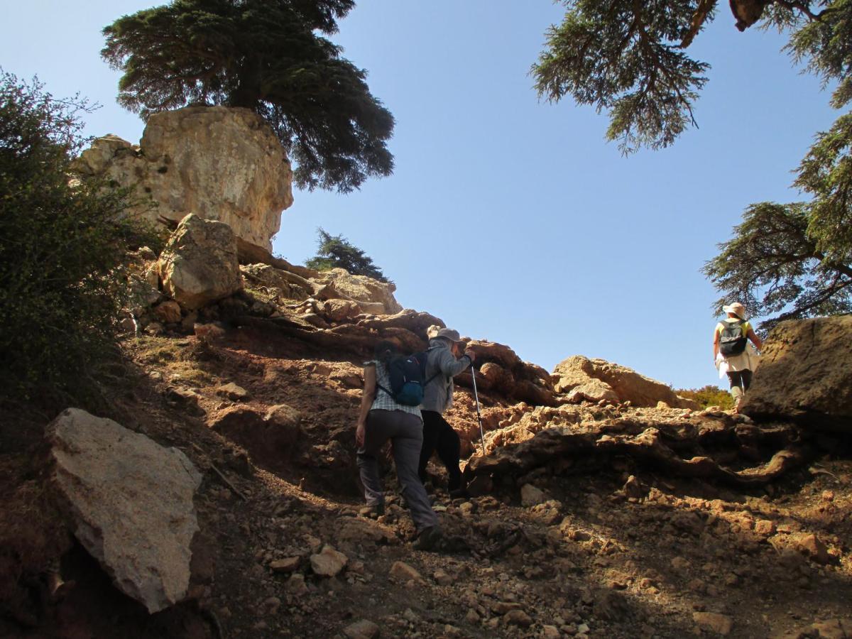 Gite Skoura Caid Bou Malla Exterior photo