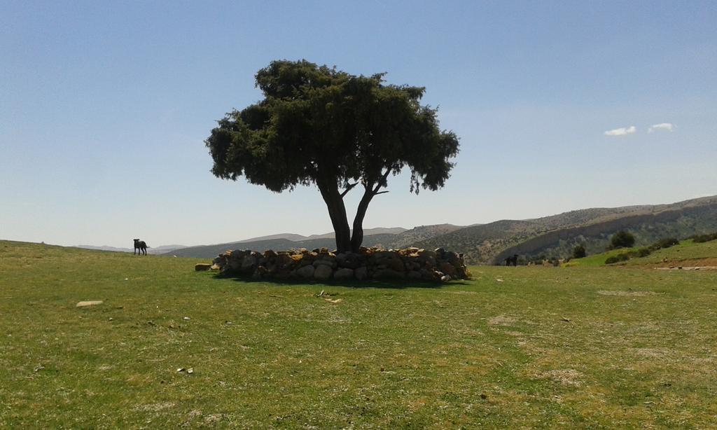Gite Skoura Caid Bou Malla Exterior photo